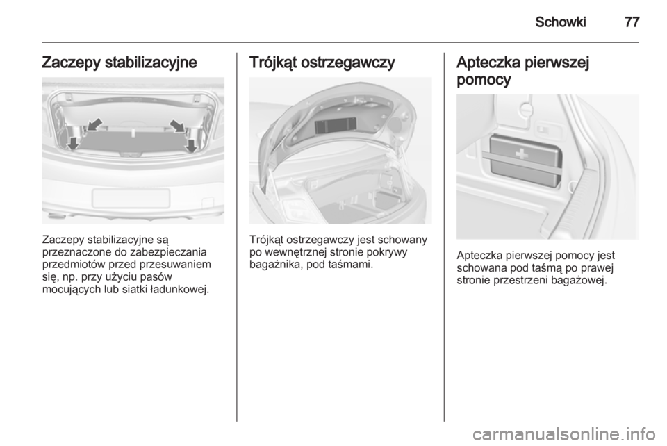 OPEL CASCADA 2013.5  Instrukcja obsługi (in Polish) 