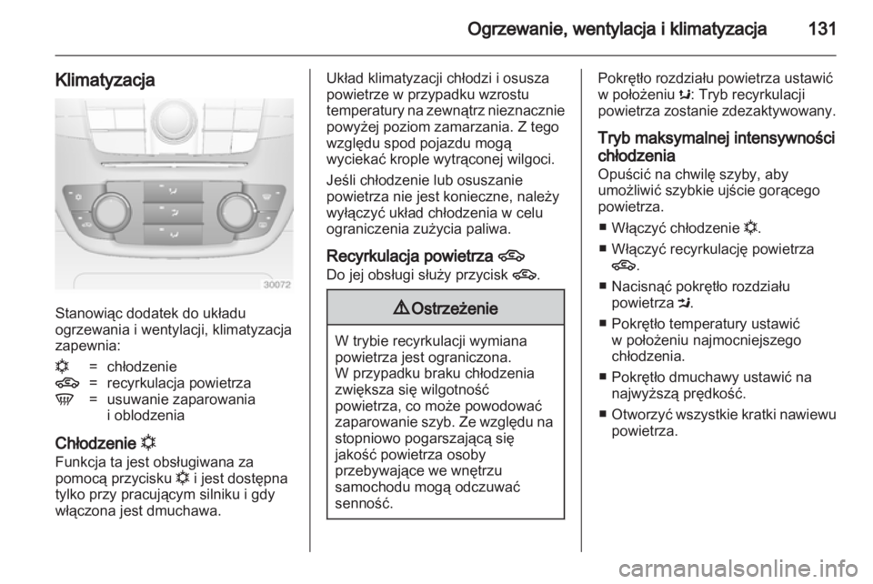 OPEL INSIGNIA 2010  Instrukcja obsługi (in Polish) 