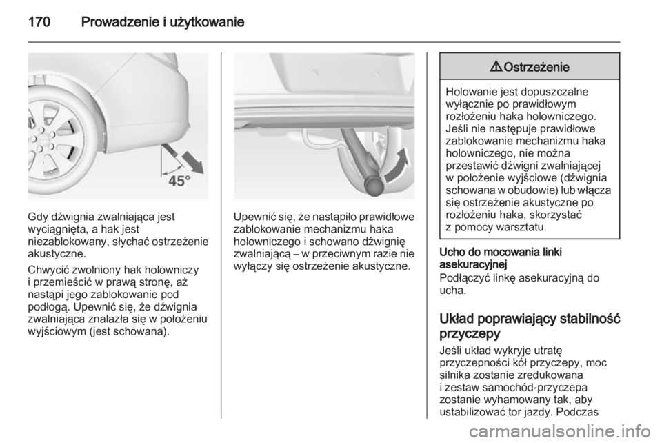 OPEL INSIGNIA 2010  Instrukcja obsługi (in Polish) 