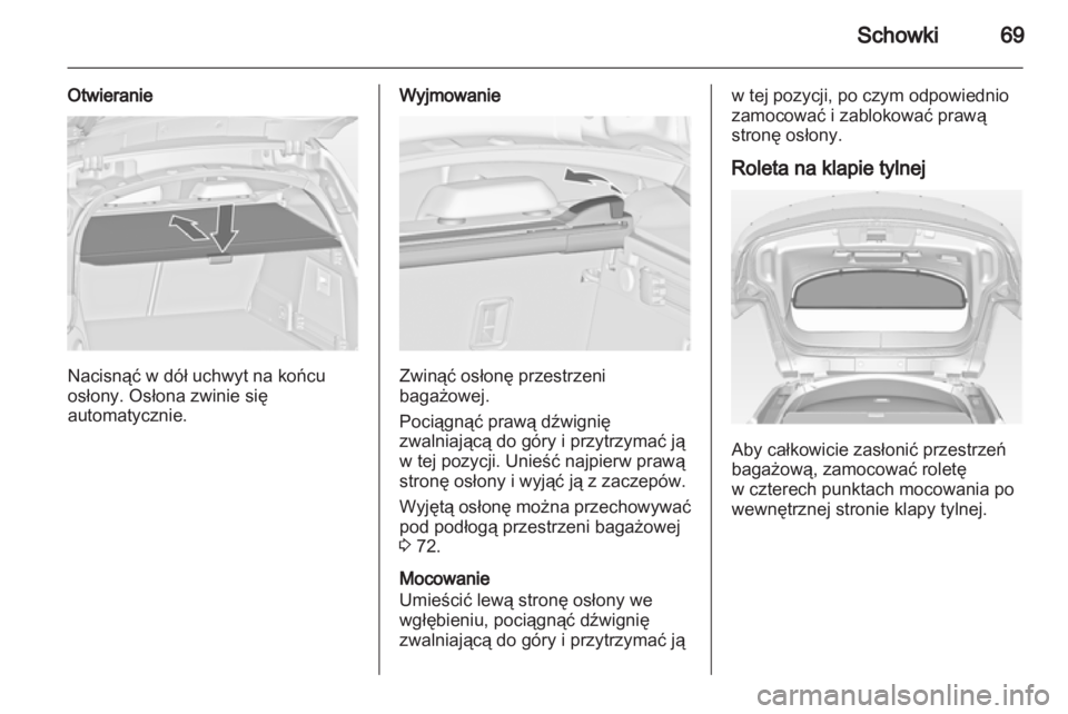 OPEL INSIGNIA 2010.5  Instrukcja obsługi (in Polish) 