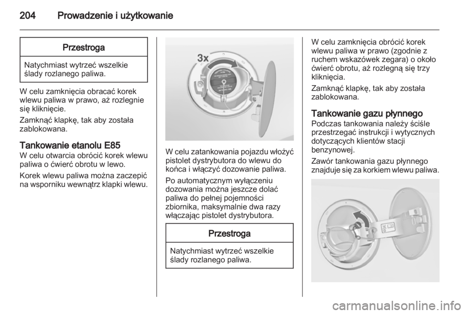 OPEL INSIGNIA 2013  Instrukcja obsługi (in Polish) 