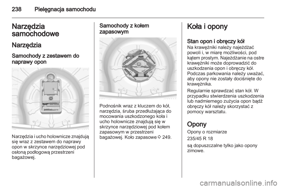 OPEL INSIGNIA 2013  Instrukcja obsługi (in Polish) 
