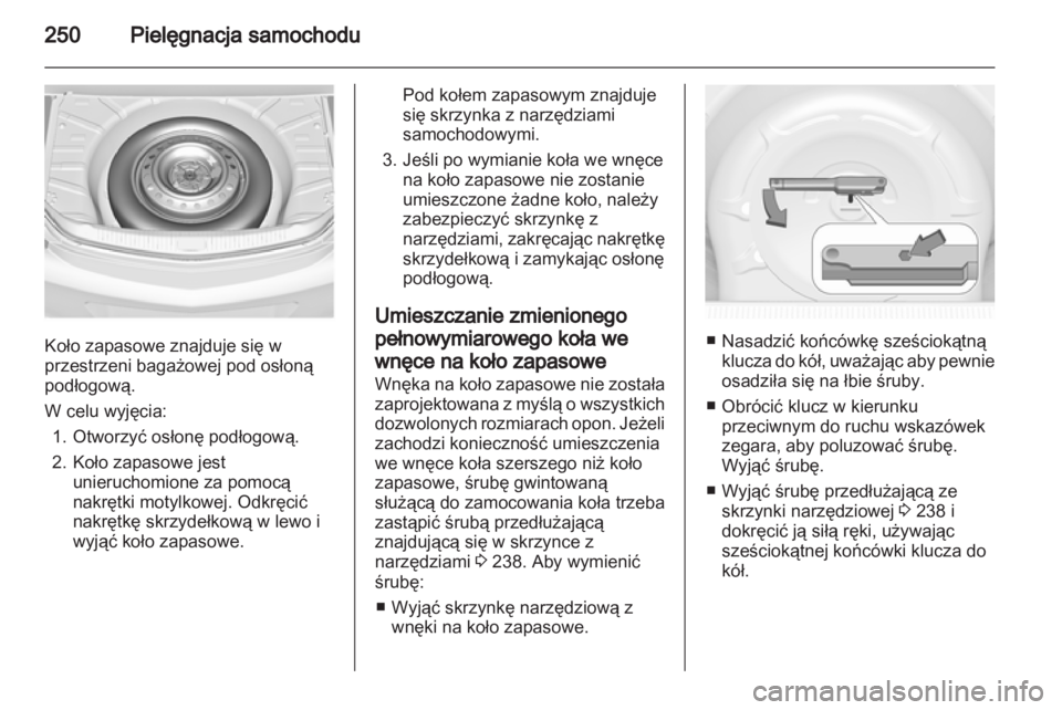 OPEL INSIGNIA 2013  Instrukcja obsługi (in Polish) 