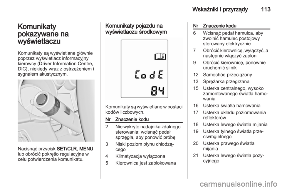 OPEL INSIGNIA 2013.5  Instrukcja obsługi (in Polish) 