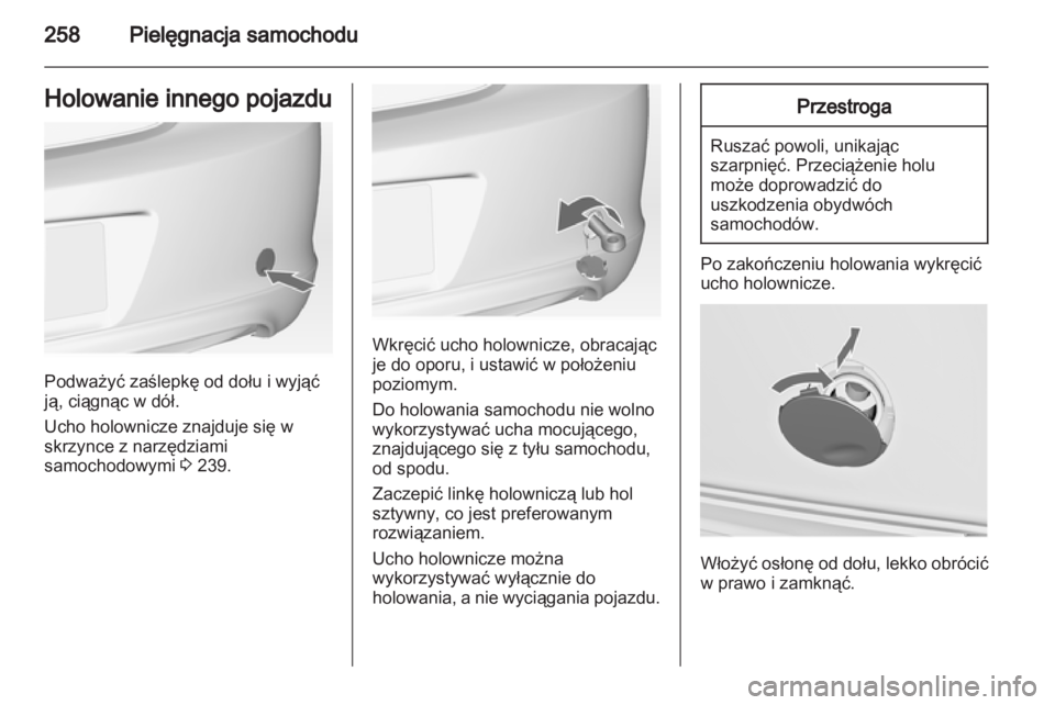OPEL INSIGNIA 2013.5  Instrukcja obsługi (in Polish) 