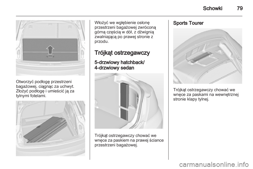 OPEL INSIGNIA 2013.5  Instrukcja obsługi (in Polish) 