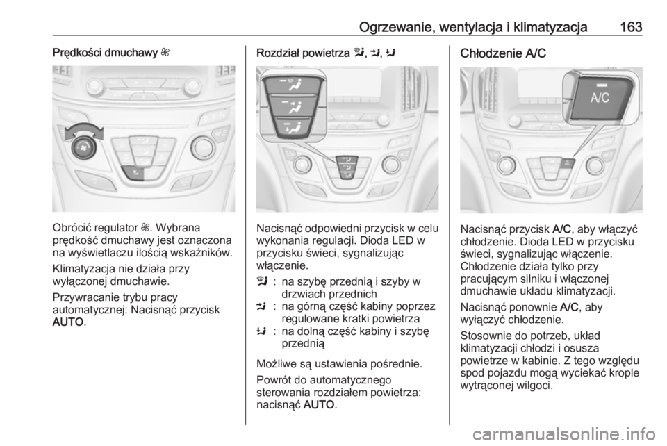 OPEL INSIGNIA 2016.5  Instrukcja obsługi (in Polish) Ogrzewanie, wentylacja i klimatyzacja163Prędkości dmuchawy Z
Obrócić regulator Z. Wybrana
prędkość dmuchawy jest oznaczona
na wyświetlaczu ilością wskaźników.
Klimatyzacja nie działa przy
