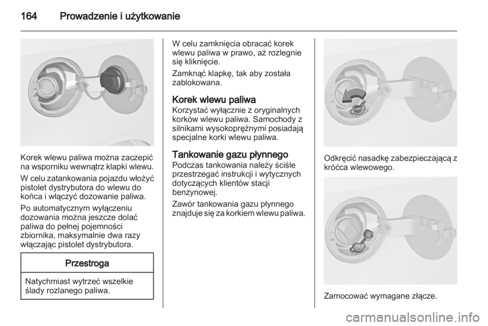 OPEL MERIVA 2013  Instrukcja obsługi (in Polish) 