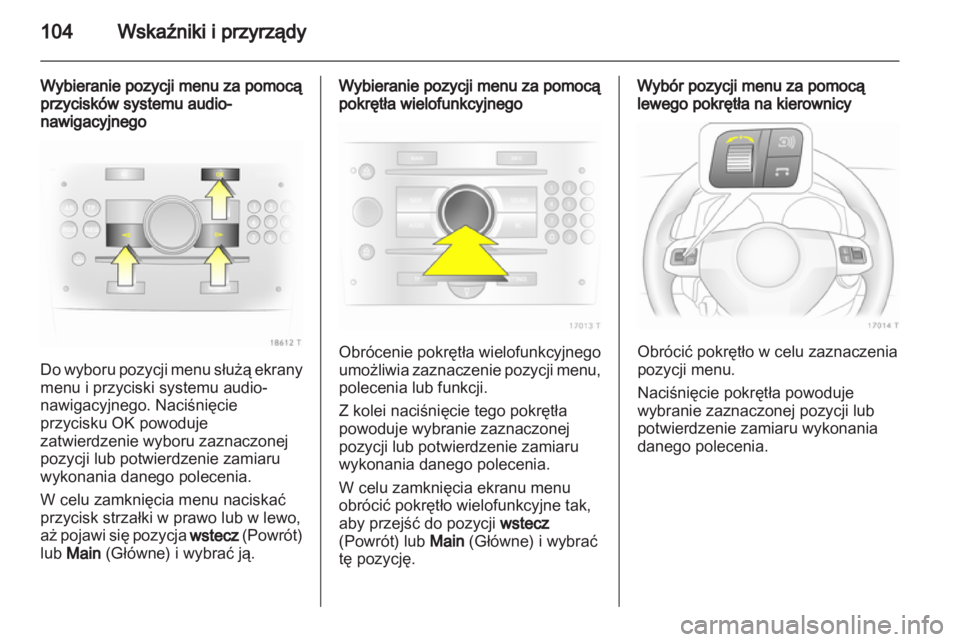 OPEL ZAFIRA 2010  Instrukcja obsługi (in Polish) 