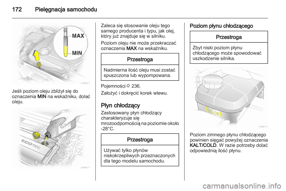 OPEL ZAFIRA 2010  Instrukcja obsługi (in Polish) 