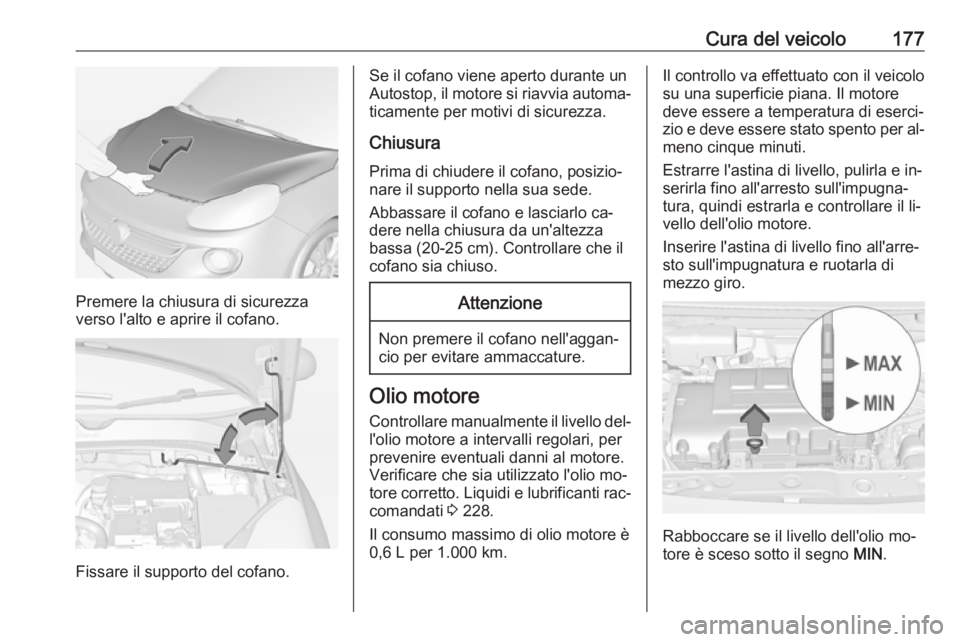 OPEL ADAM 2016.5  Manuale di uso e manutenzione (in Italian) Cura del veicolo177
Premere la chiusura di sicurezza
verso l'alto e aprire il cofano.
Fissare il supporto del cofano.
Se il cofano viene aperto durante un
Autostop, il motore si riavvia automa‐
