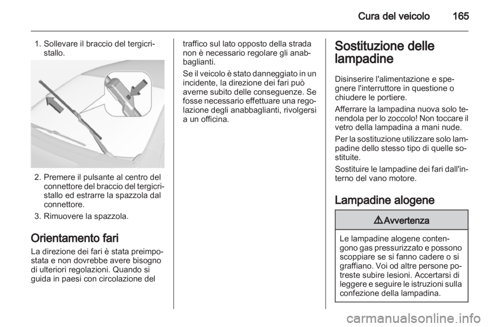 OPEL AMPERA 2013  Manuale di uso e manutenzione (in Italian) 