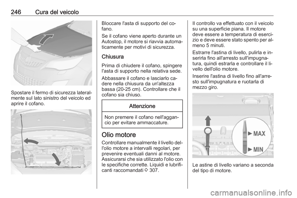 OPEL ASTRA J 2016  Manuale di uso e manutenzione (in Italian) 246Cura del veicolo
Spostare il fermo di sicurezza lateral‐mente sul lato sinistro del veicolo ed
aprire il cofano.
Bloccare l'asta di supporto del co‐
fano.
Se il cofano viene aperto durante 