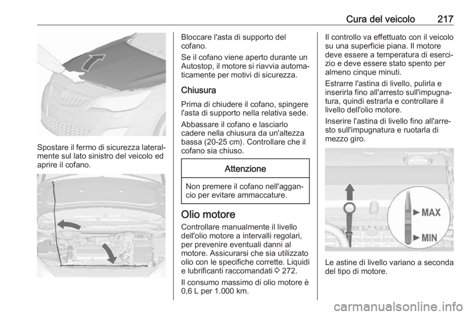 OPEL ASTRA J 2017 Manuale di uso e manutenzione (in Italian) Cura del veicolo217
Spostare il fermo di sicurezza lateral‐mente sul lato sinistro del veicolo ed
aprire il cofano.
Bloccare l'asta di supporto del
cofano.
Se il cofano viene aperto durante un A OPEL ASTRA J 2017 Manuale di uso e manutenzione (in Italian) Cura del veicolo217
Spostare il fermo di sicurezza lateral‐mente sul lato sinistro del veicolo ed
aprire il cofano.
Bloccare l'asta di supporto del
cofano.
Se il cofano viene aperto durante un A
