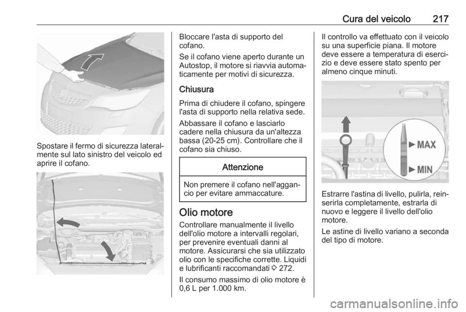 OPEL ASTRA J 2018 Manuale di uso e manutenzione (in Italian) Cura del veicolo217
Spostare il fermo di sicurezza lateral‐mente sul lato sinistro del veicolo ed
aprire il cofano.
Bloccare l'asta di supporto del
cofano.
Se il cofano viene aperto durante un A OPEL ASTRA J 2018 Manuale di uso e manutenzione (in Italian) Cura del veicolo217
Spostare il fermo di sicurezza lateral‐mente sul lato sinistro del veicolo ed
aprire il cofano.
Bloccare l'asta di supporto del
cofano.
Se il cofano viene aperto durante un A