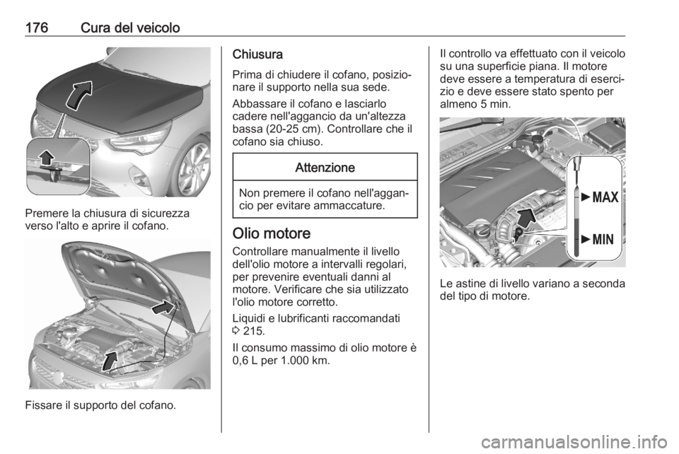 OPEL CORSA F 2020  Manuale di uso e manutenzione (in Italian) 176Cura del veicolo
Premere la chiusura di sicurezza
verso l'alto e aprire il cofano.
Fissare il supporto del cofano.
Chiusura
Prima di chiudere il cofano, posizio‐
nare il supporto nella sua se