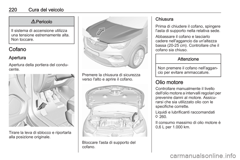 OPEL GRANDLAND X 2018.75  Manuale di uso e manutenzione (in Italian) 220Cura del veicolo9Pericolo
Il sistema di accensione utilizza
una tensione estremamente alta.
Non toccare.
Cofano
Apertura Apertura della portiera del condu‐
cente.
Tirare la leva di sblocco e ripo