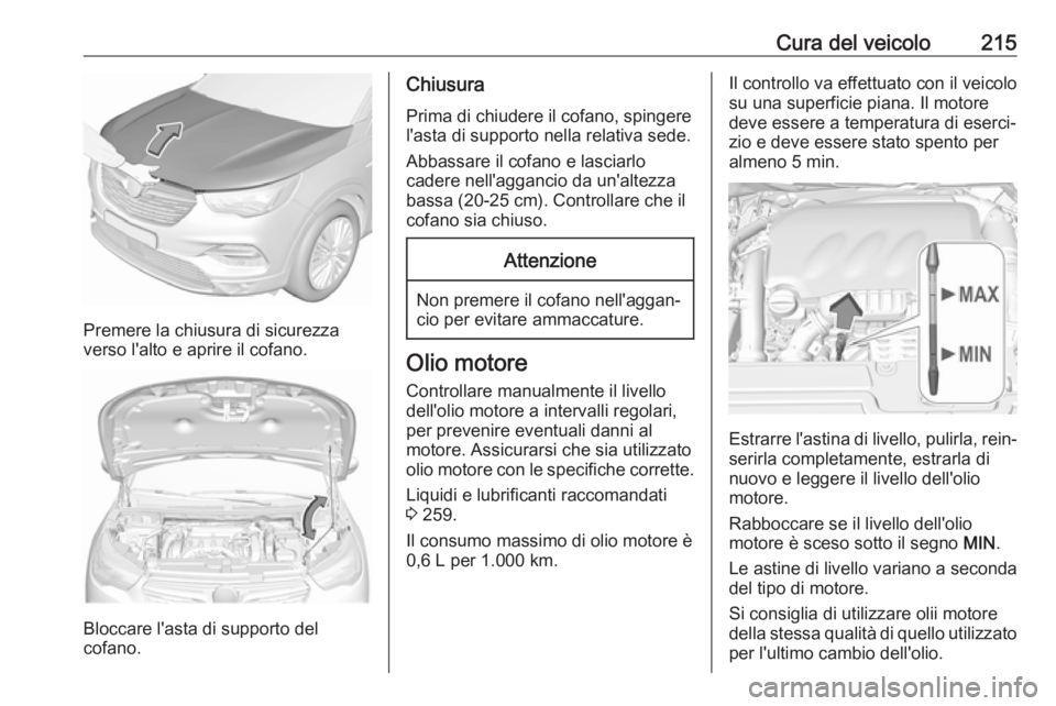 OPEL GRANDLAND X 2019.75 Manuale di uso e manutenzione (in Italian) Cura del veicolo215
Premere la chiusura di sicurezza
verso l'alto e aprire il cofano.
Bloccare l'asta di supporto del
cofano.
Chiusura
Prima di chiudere il cofano, spingere
l'asta di suppo OPEL GRANDLAND X 2019.75 Manuale di uso e manutenzione (in Italian) Cura del veicolo215
Premere la chiusura di sicurezza
verso l'alto e aprire il cofano.
Bloccare l'asta di supporto del
cofano.
Chiusura
Prima di chiudere il cofano, spingere
l'asta di suppo