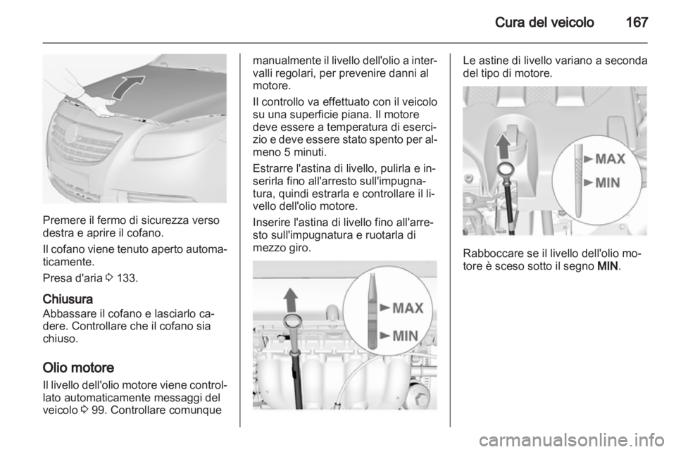 OPEL INSIGNIA 2010  Manuale di uso e manutenzione (in Italian) 