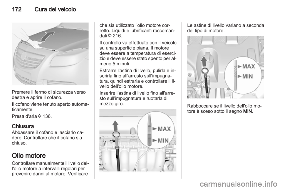 OPEL INSIGNIA 2011  Manuale di uso e manutenzione (in Italian) 