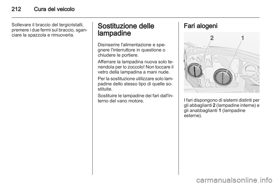 OPEL INSIGNIA 2013  Manuale di uso e manutenzione (in Italian) 