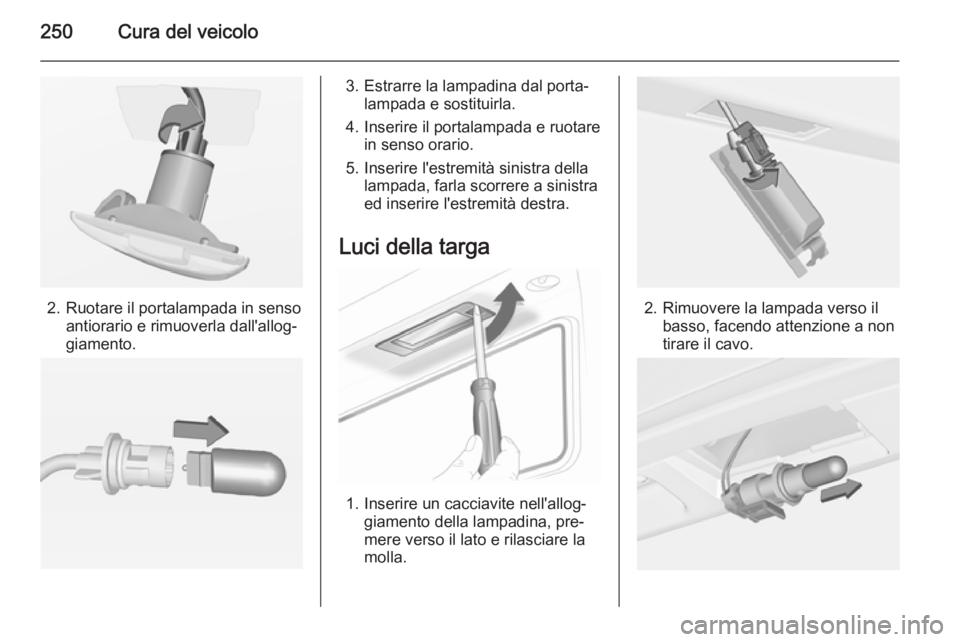 OPEL INSIGNIA 2015  Manuale di uso e manutenzione (in Italian) 250Cura del veicolo
2. Ruotare il portalampada in sensoantiorario e rimuoverla dall'allog‐
giamento.
3. Estrarre la lampadina dal porta‐ lampada e sostituirla.
4. Inserire il portalampada e ru