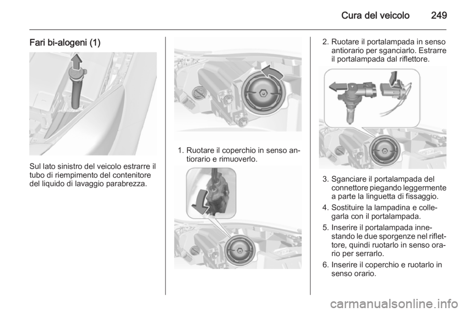 OPEL INSIGNIA 2015.5  Manuale di uso e manutenzione (in Italian) Cura del veicolo249
Fari bi-alogeni (1)
Sul lato sinistro del veicolo estrarre il
tubo di riempimento del contenitore
del liquido di lavaggio parabrezza.
1. Ruotare il coperchio in senso an‐ tiorari