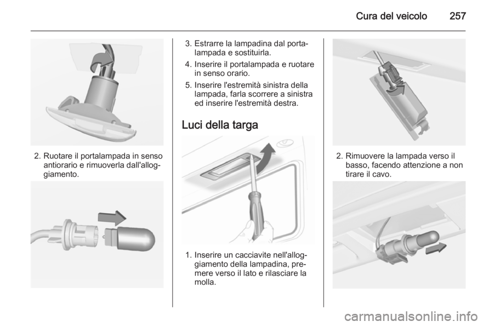 OPEL INSIGNIA 2015.5  Manuale di uso e manutenzione (in Italian) Cura del veicolo257
2. Ruotare il portalampada in sensoantiorario e rimuoverla dall'allog‐
giamento.
3. Estrarre la lampadina dal porta‐ lampada e sostituirla.
4. Inserire il portalampada e ru