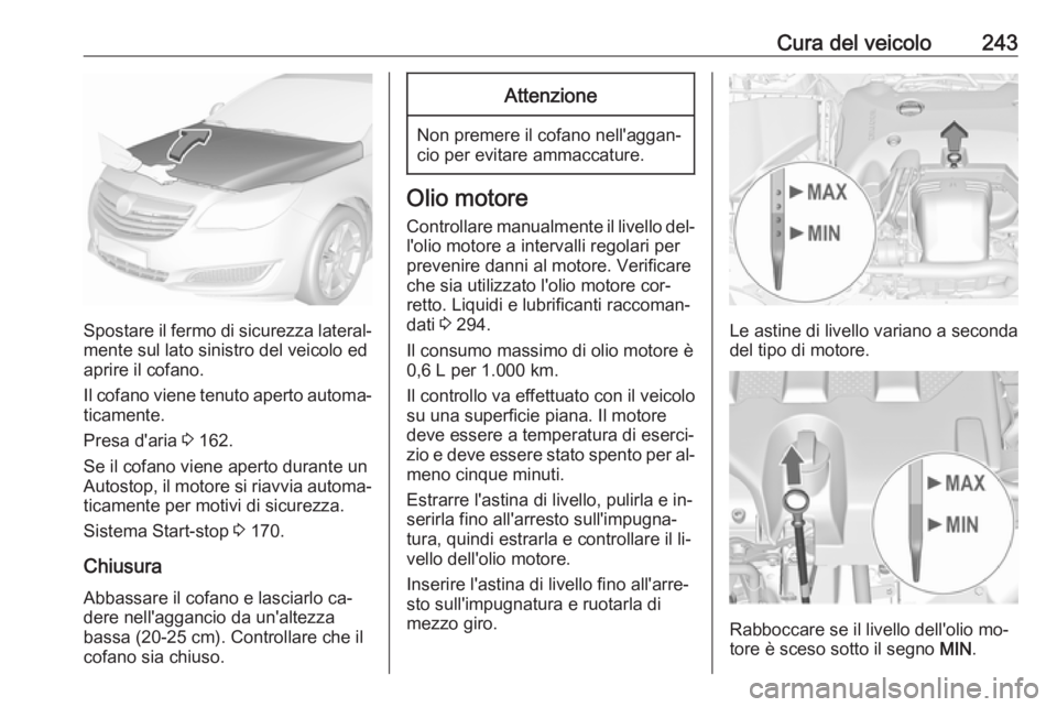 OPEL INSIGNIA 2016 Manuale di uso e manutenzione (in Italian) Cura del veicolo243
Spostare il fermo di sicurezza lateral‐mente sul lato sinistro del veicolo ed
aprire il cofano.
Il cofano viene tenuto aperto automa‐
ticamente.
Presa d'aria 3 162.
Se il OPEL INSIGNIA 2016 Manuale di uso e manutenzione (in Italian) Cura del veicolo243
Spostare il fermo di sicurezza lateral‐mente sul lato sinistro del veicolo ed
aprire il cofano.
Il cofano viene tenuto aperto automa‐
ticamente.
Presa d'aria 3 162.
Se il
