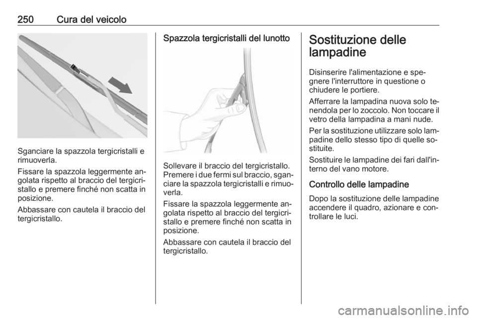 OPEL INSIGNIA 2016 Manuale di uso e manutenzione (in Italian) 250Cura del veicolo
Sganciare la spazzola tergicristalli e
rimuoverla.
Fissare la spazzola leggermente an‐
golata rispetto al braccio del tergicri‐
stallo e premere finché non scatta in
posizione OPEL INSIGNIA 2016 Manuale di uso e manutenzione (in Italian) 250Cura del veicolo
Sganciare la spazzola tergicristalli e
rimuoverla.
Fissare la spazzola leggermente an‐
golata rispetto al braccio del tergicri‐
stallo e premere finché non scatta in
posizione