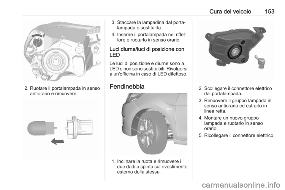OPEL KARL 2018  Manuale di uso e manutenzione (in Italian) Cura del veicolo153
2. Ruotare il portalampada in sensoantiorario e rimuovere.
3. Staccare la lampadina dal porta‐lampada e sostituirla.
4. Inserire il portalampada nel riflet‐ tore e ruotarlo in 