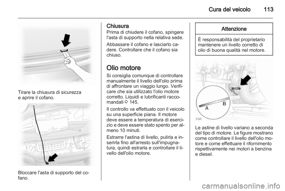 OPEL VIVARO 2011  Manuale di uso e manutenzione (in Italian) 