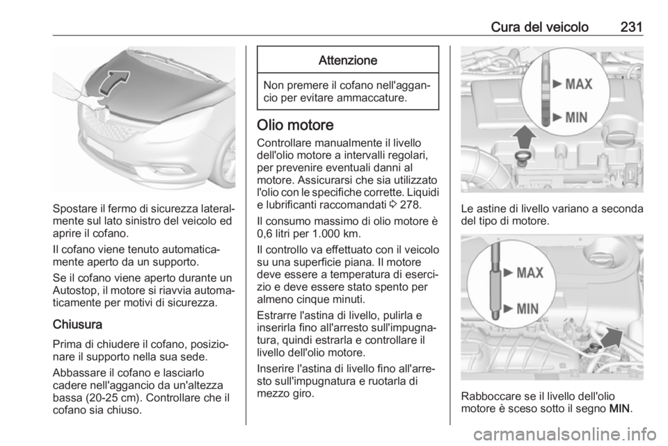 OPEL ZAFIRA C 2017.25  Manuale di uso e manutenzione (in Italian) Cura del veicolo231
Spostare il fermo di sicurezza lateral‐mente sul lato sinistro del veicolo ed
aprire il cofano.
Il cofano viene tenuto automatica‐
mente aperto da un supporto.
Se il cofano vie