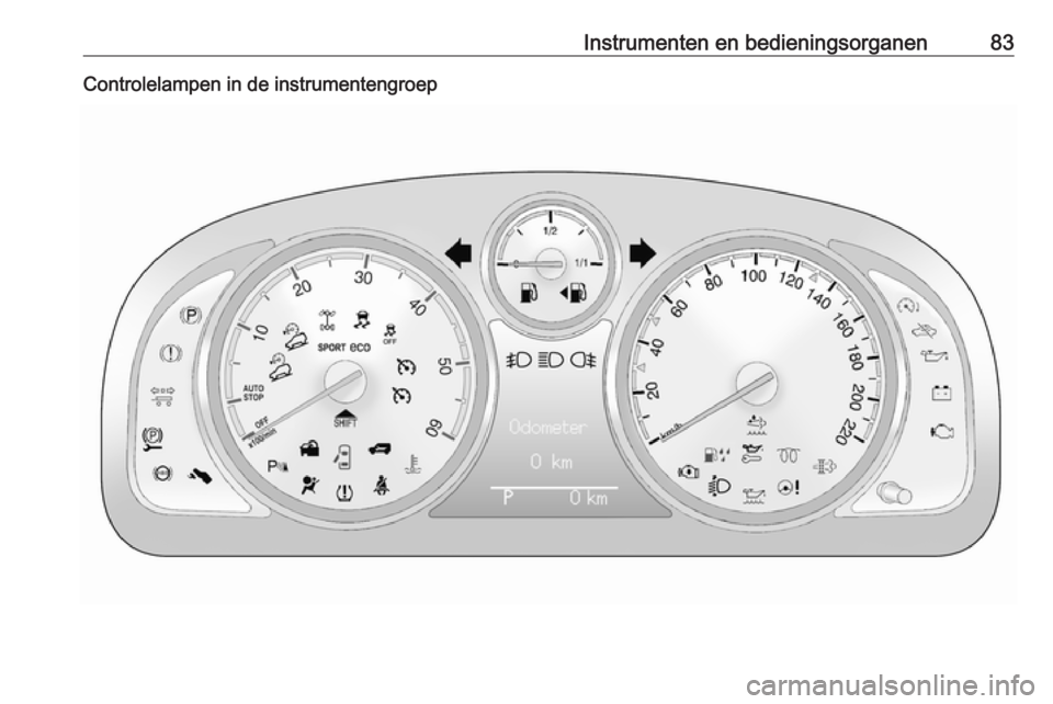 OPEL ANTARA 2016.5  Gebruikershandleiding (in Dutch) Instrumenten en bedieningsorganen83Controlelampen in de instrumentengroep 