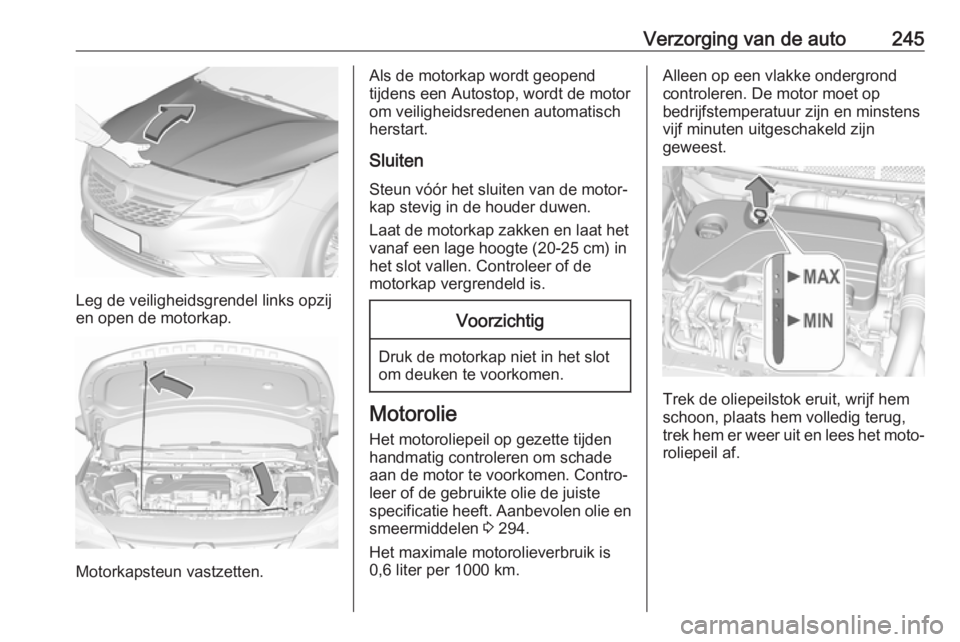 OPEL ASTRA K 2018.5 Gebruikershandleiding (in Dutch) Verzorging van de auto245
Leg de veiligheidsgrendel links opzij
en open de motorkap.
Motorkapsteun vastzetten.
Als de motorkap wordt geopend
tijdens een Autostop, wordt de motor
om veiligheidsredenen OPEL ASTRA K 2018.5 Gebruikershandleiding (in Dutch) Verzorging van de auto245
Leg de veiligheidsgrendel links opzij
en open de motorkap.
Motorkapsteun vastzetten.
Als de motorkap wordt geopend
tijdens een Autostop, wordt de motor
om veiligheidsredenen