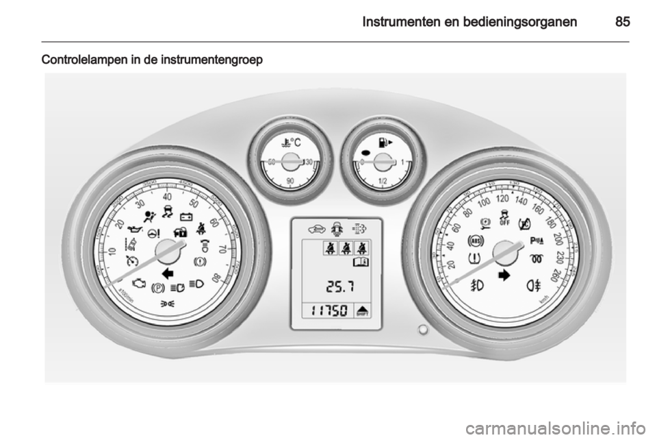 OPEL INSIGNIA 2010  Gebruikershandleiding (in Dutch) 