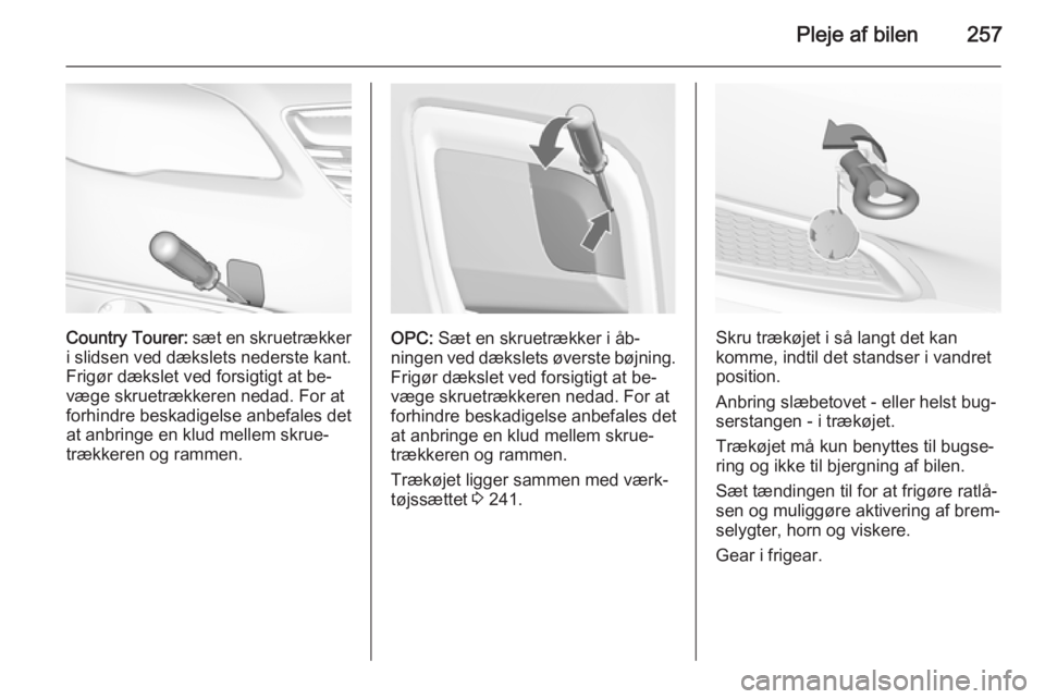 OPEL INSIGNIA 2014.5  Instruktionsbog (in Danish) Pleje af bilen257
Country Tourer: sæt en skruetrækker
i slidsen ved dækslets nederste kant.
Frigør dækslet ved forsigtigt at be‐
væge skruetrækkeren nedad. For at forhindre beskadigelse anbef