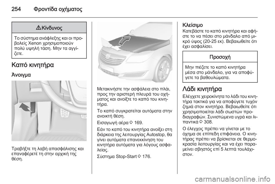 OPEL INSIGNIA 2015.5  Εγχειρίδιο Οδηγιών Χρήσης και Λειτουργίας (in Greek) 254Φροντίδα οχήματος9Κίνδυνος
Το σύστημα ανάφλεξης και οι προ‐
βολείς Xenon χρησιμοποιούν
πολύ υψηλή τάση. Μην τ