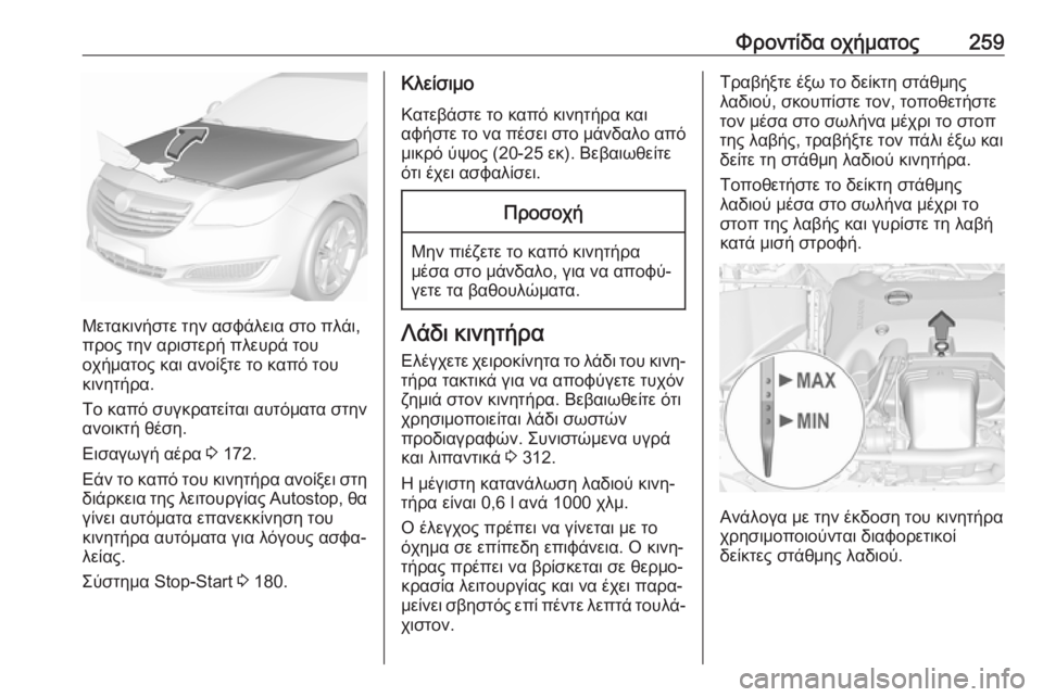 OPEL INSIGNIA 2016.5  Εγχειρίδιο Οδηγιών Χρήσης και Λειτουργίας (in Greek) Φροντίδα οχήματος259
Μετακινήστε την ασφάλεια στο πλάι,
προς την αριστερή πλευρά του
οχήματος και ανοίξτε το κ