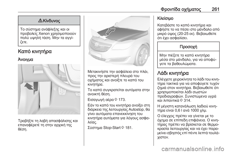 OPEL INSIGNIA 2017  Εγχειρίδιο Οδηγιών Χρήσης και Λειτουργίας (in Greek) Φροντίδα οχήματος2619Κίνδυνος
Το σύστημα ανάφλεξης και οι
προβολείς Xenon χρησιμοποιούν
πολύ υψηλή τάση. Μην τα 