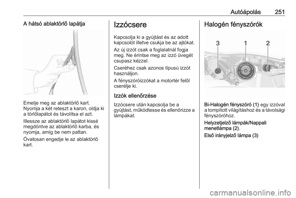 OPEL INSIGNIA 2017  Kezelési útmutató (in Hungarian) Autóápolás251A hátsó ablaktörlő lapátja
Emelje meg az ablaktörlő kart.
Nyomja a két reteszt a karon, oldja ki
a törlőlapátot és távolítsa el azt.
Illessze az ablaktörlő lapátot kis