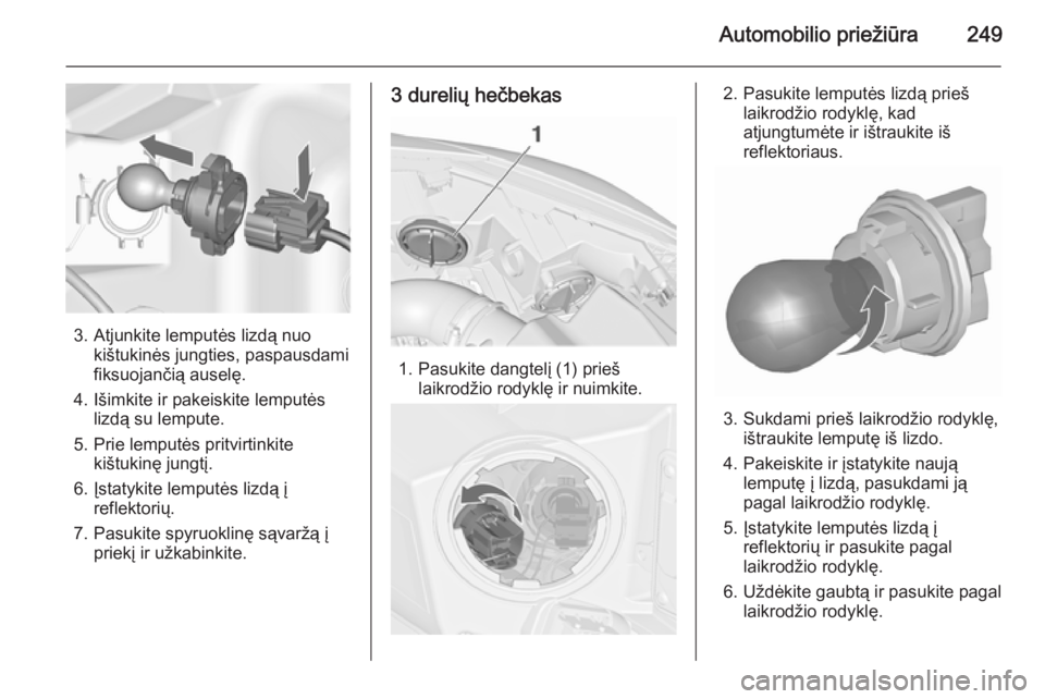 OPEL ASTRA J 2015.5  Savininko vadovas (in Lithuanian) Automobilio priežiūra249
3. Atjunkite lemputės lizdą nuokištukinės jungties, paspausdami
fiksuojančią auselę.
4. Išimkite ir pakeiskite lemputės lizdą su lempute.
5. Prie lemputės pritvir