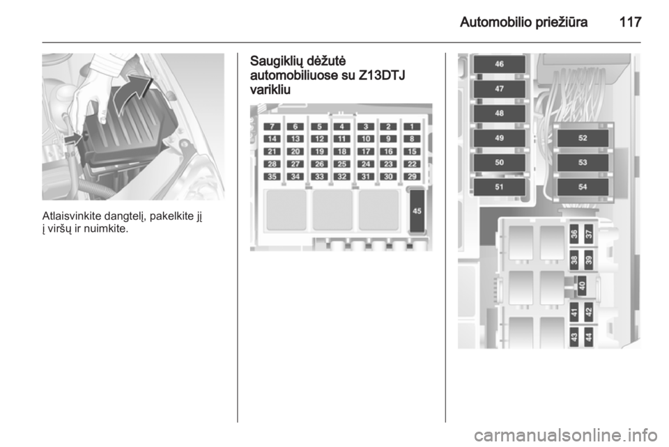 OPEL COMBO 2011  Savininko vadovas (in Lithuanian) 