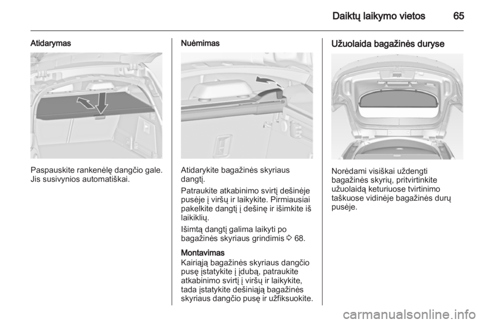 OPEL INSIGNIA 2010.5  Savininko vadovas (in Lithuanian) 