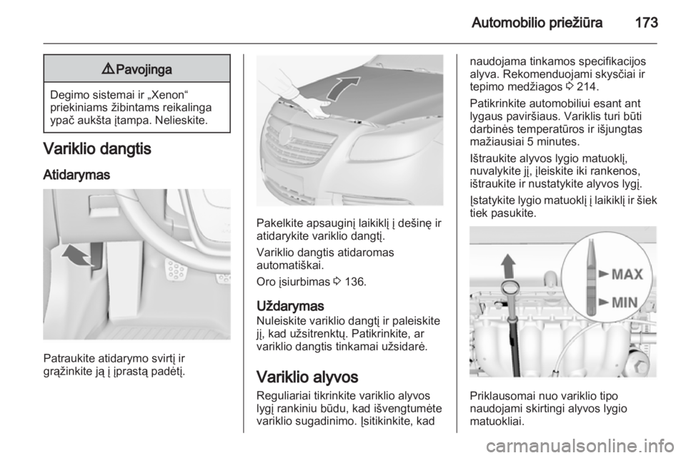 OPEL INSIGNIA 2011.5  Savininko vadovas (in Lithuanian) 
