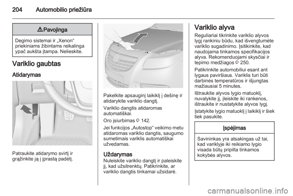 OPEL INSIGNIA 2013.5  Savininko vadovas (in Lithuanian) 