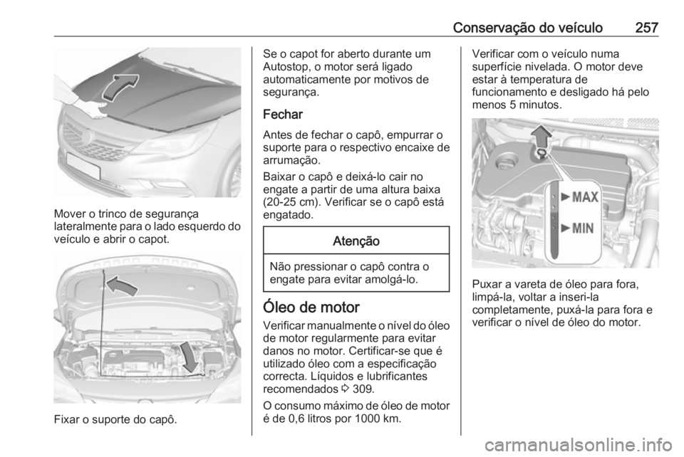 OPEL ASTRA K 2019  Manual de Instruções (in Portugues) Conservação do veículo257
Mover o trinco de segurança
lateralmente para o lado esquerdo do veículo e abrir o capot.
Fixar o suporte do capô.
Se o capot for aberto durante um
Autostop, o motor se