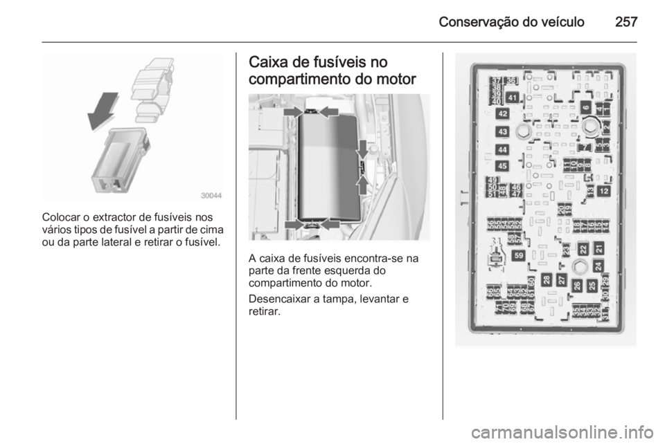 OPEL INSIGNIA 2014  Manual de Instruções (in Portugues) Conservação do veículo257
Colocar o extractor de fusíveis nos
vários tipos de fusível a partir de cima
ou da parte lateral e retirar o fusível.
Caixa de fusíveis no
compartimento do motor
A ca