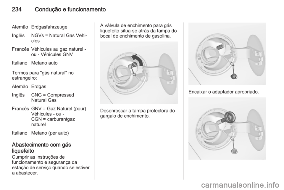 OPEL ZAFIRA C 2014  Manual de Instruções (in Portugues) 234Condução e funcionamento
AlemãoErdgasfahrzeugeInglêsNGVs = Natural Gas Vehi‐
clesFrancêsVéhicules au gaz naturel -
ou - Véhicules GNVItalianoMetano auto
Termos para "gás natural" 