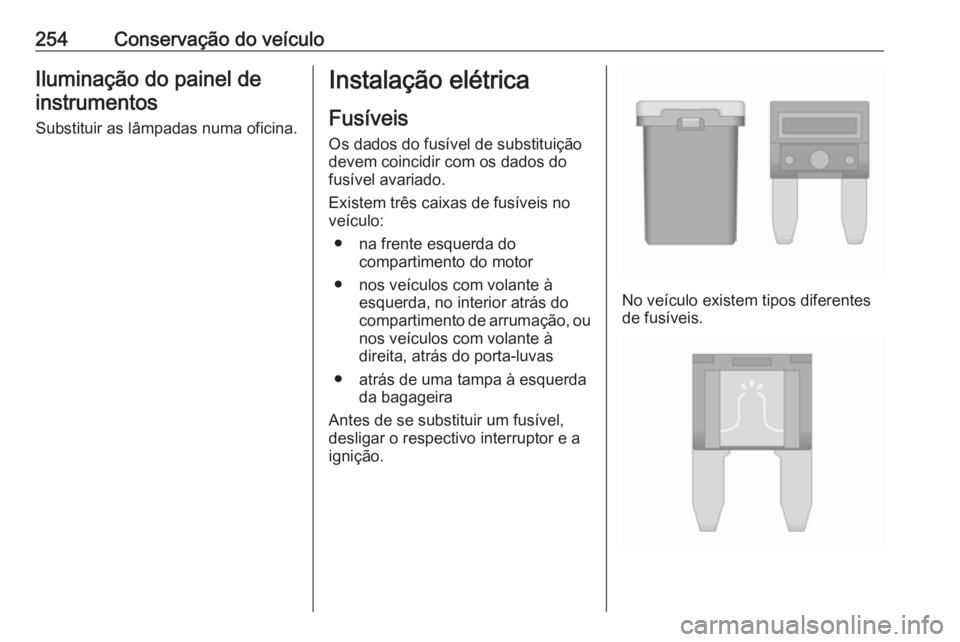 OPEL ZAFIRA C 2017.25  Manual de Instruções (in Portugues) 254Conservação do veículoIluminação do painel deinstrumentos
Substituir as lâmpadas numa oficina.Instalação elétrica
Fusíveis Os dados do fusível de substituiçãodevem coincidir com os dad